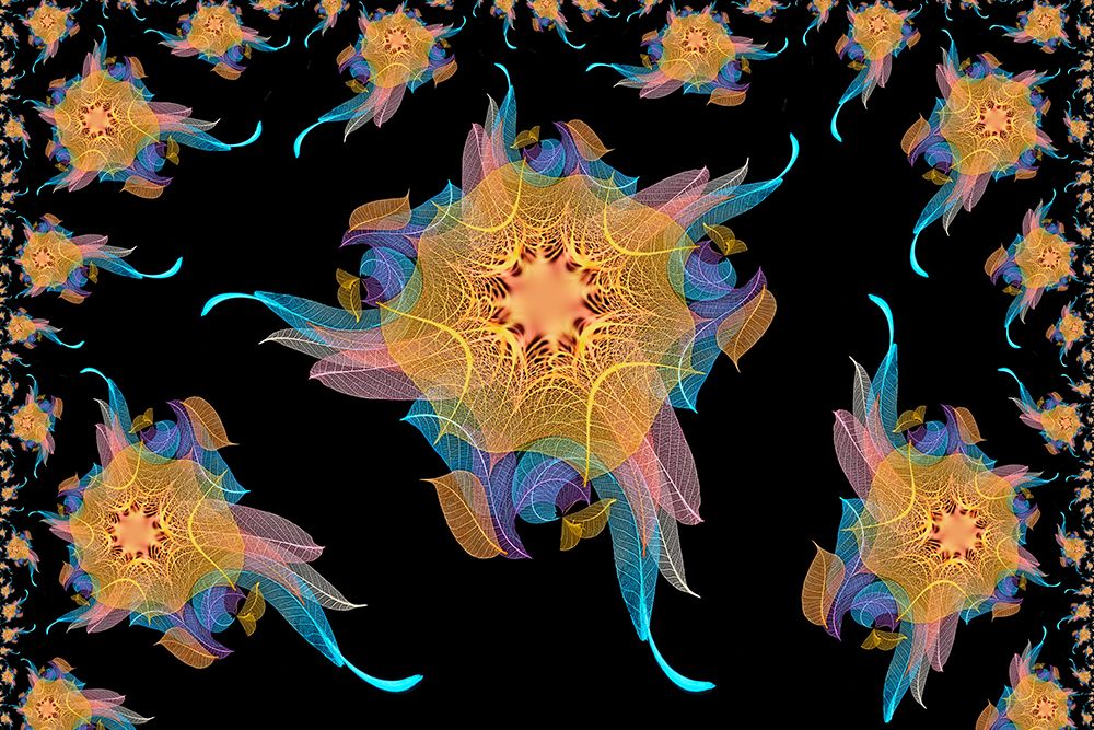 Multi-colored skeleton leaves arranged on black background art print by Adam Jones for $57.95 CAD