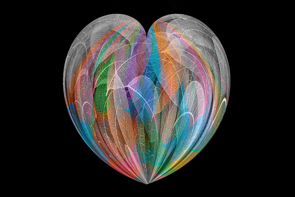 Multi-colored skeleton leaves arranged on black background art print by Adam Jones for $57.95 CAD
