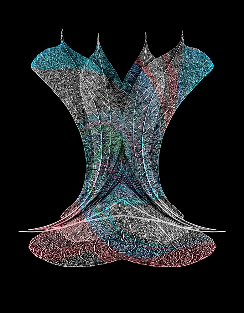 Multi-colored skeleton leaves arranged on black background art print by Adam Jones for $57.95 CAD