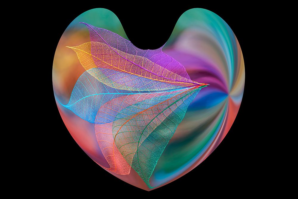 Multi-colored skeleton leaves arranged in heart-shape on black background art print by Adam Jones for $57.95 CAD