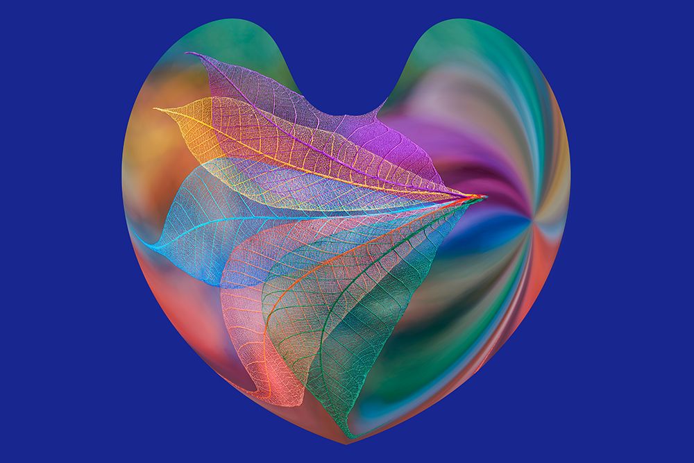 Multi-colored skeleton leaves arranged in heart-shape on blue background art print by Adam Jones for $57.95 CAD