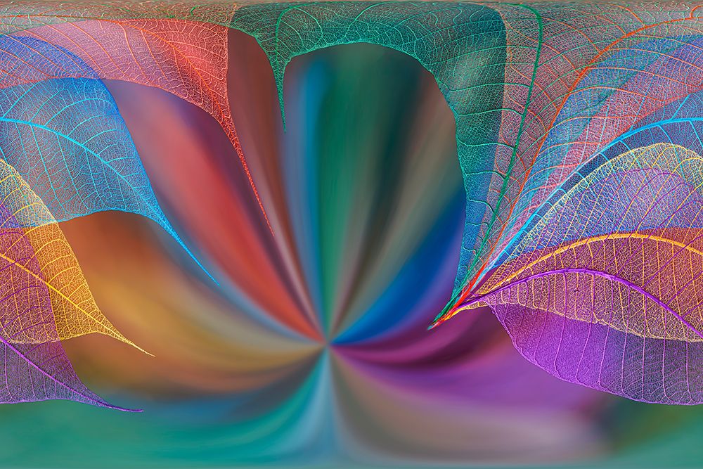 Multi-colored skeleton leaves arranged on colorful background art print by Adam Jones for $57.95 CAD
