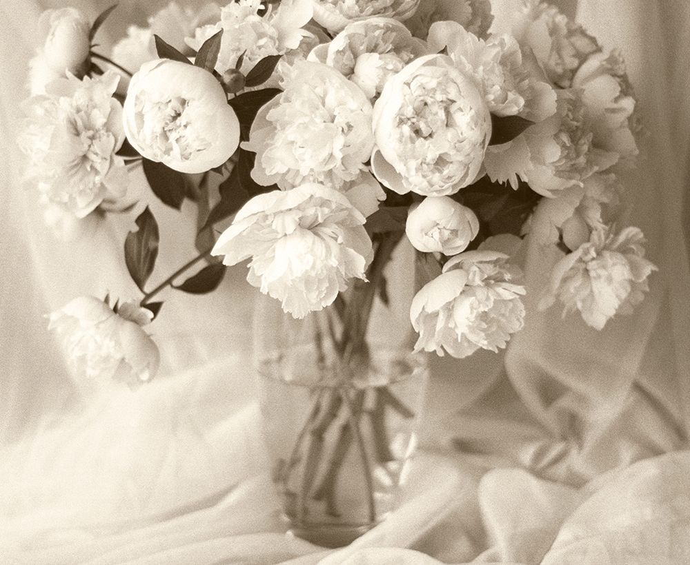 Sepia tone Peony art print by Anna Miller for $57.95 CAD