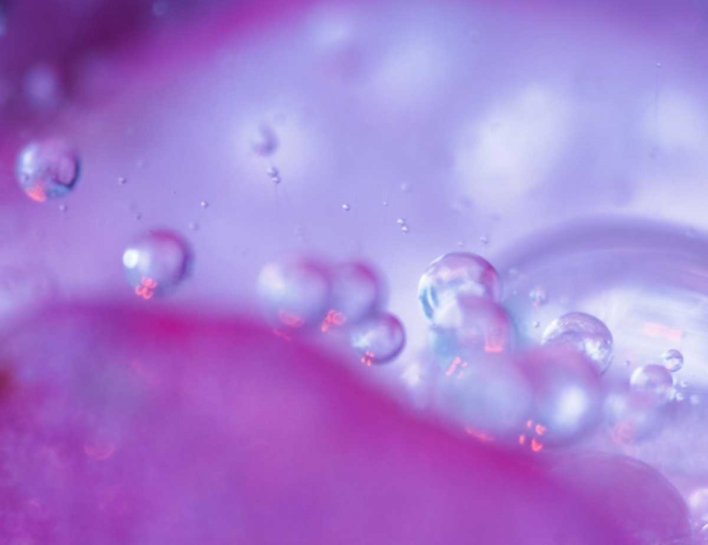 Dew drops on flower petal abstract art print by Nancy Rotenberg for $57.95 CAD