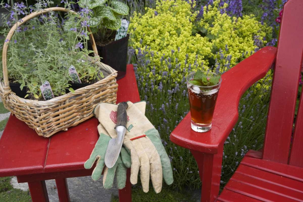 Ice tea rests on red chair while gardening art print by Don Paulson for $57.95 CAD