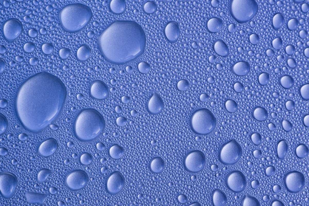 Close-up of frozen water drops art print by Don Paulson for $57.95 CAD