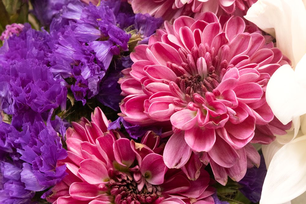 Close-up magenta violet art print by George and Marilu Theodore for $57.95 CAD