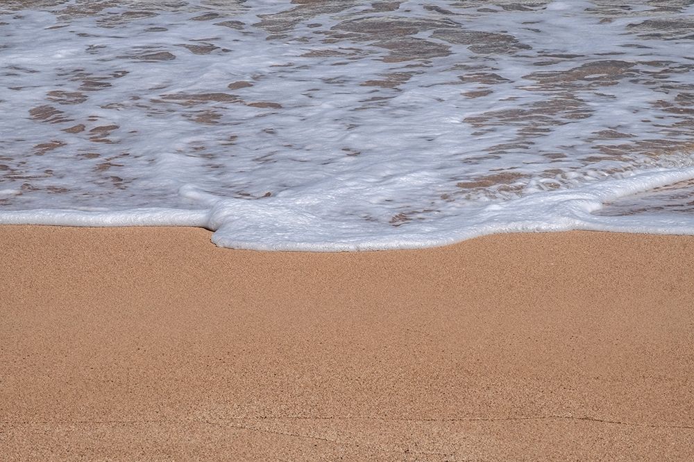 Sea foam on Golden sandy beach art print by Lisa S. Engelbrecht for $57.95 CAD