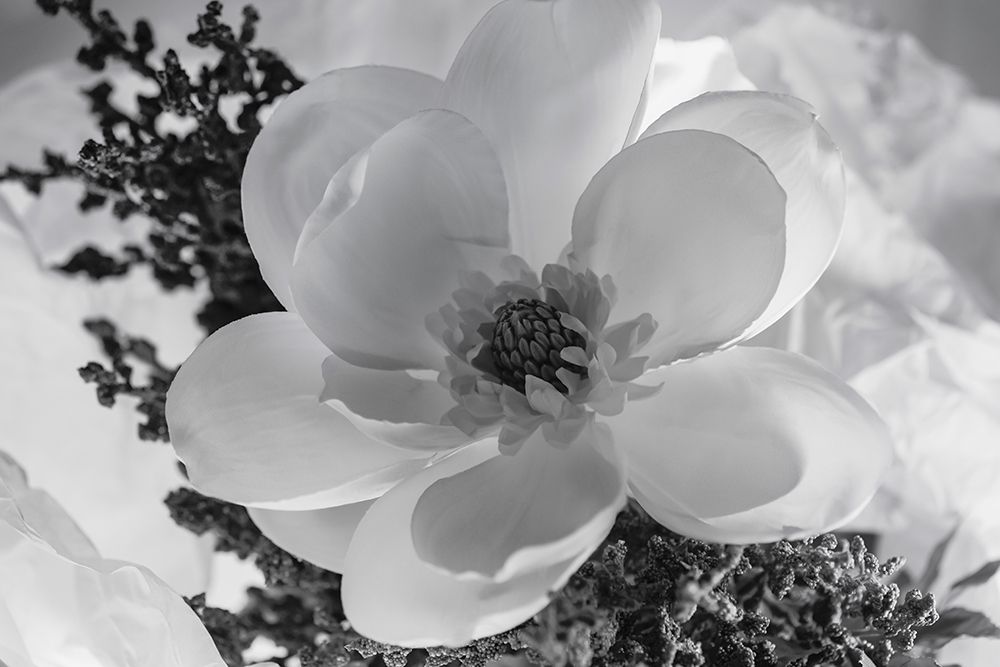 Close-up of flower art print by Zandina Muench Beraldo for $57.95 CAD