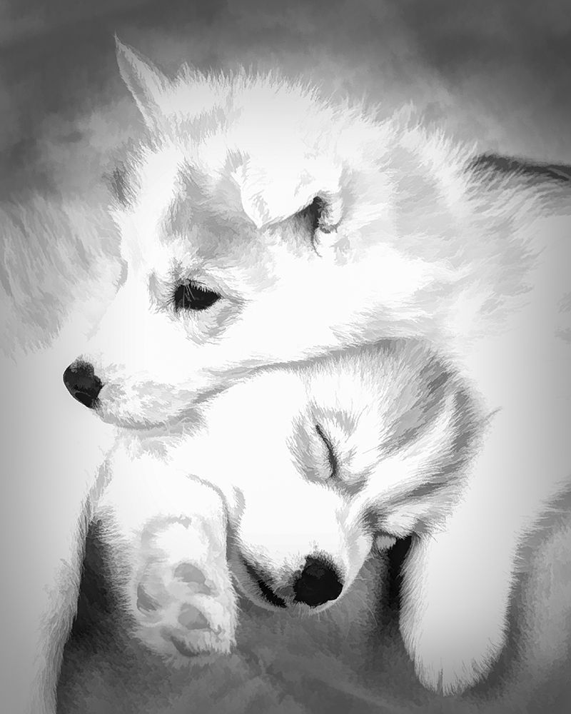 Abstract of Siberian husky puppies art print by Jaynes Gallery for $57.95 CAD