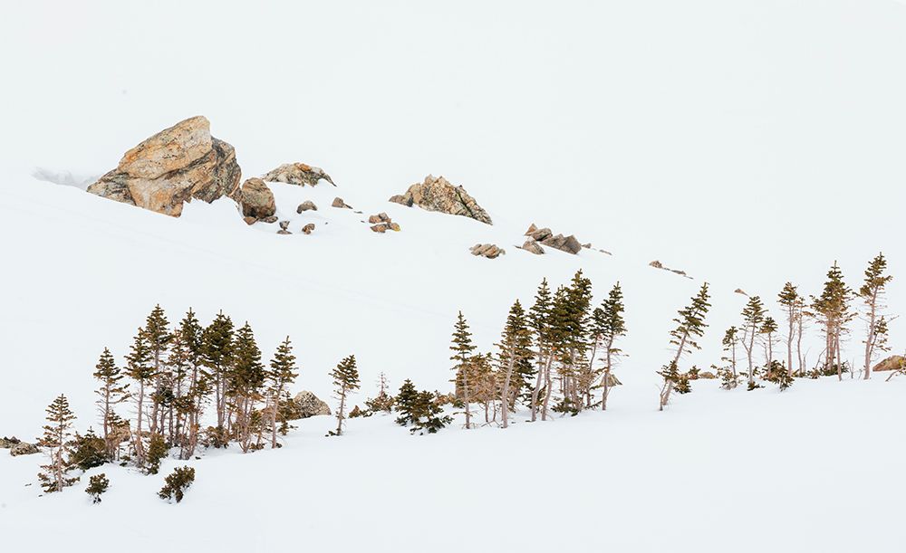 Alpine winter landscape art print by Ken Archer for $57.95 CAD
