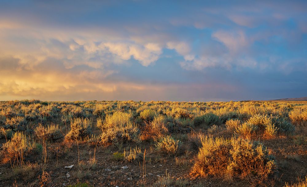 Sunrise over the sage brush landscape of Colorados sand Wash Basin art print by Ken Archer for $57.95 CAD