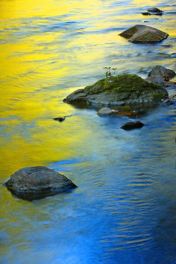 Colors Reflected in Water art print by Anna Miller for $57.95 CAD