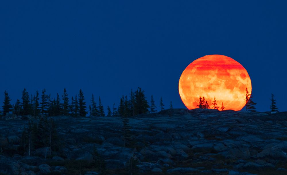 Blue moon rising over the arctic tundra art print by Ken Archer for $57.95 CAD