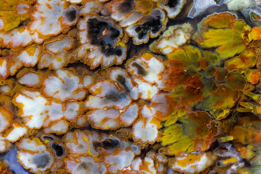 Plum agate art print by Darrell Gulin for $57.95 CAD