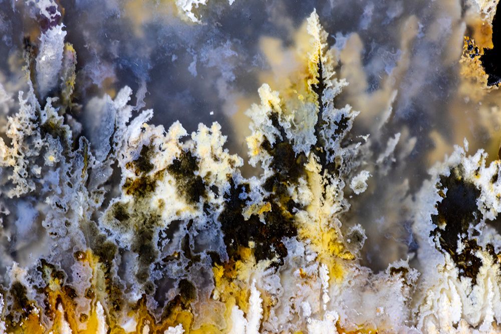 Plum agate art print by Darrell Gulin for $57.95 CAD