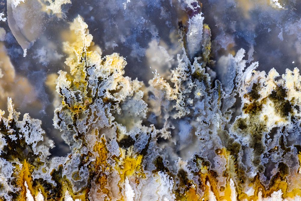Plum agate art print by Darrell Gulin for $57.95 CAD