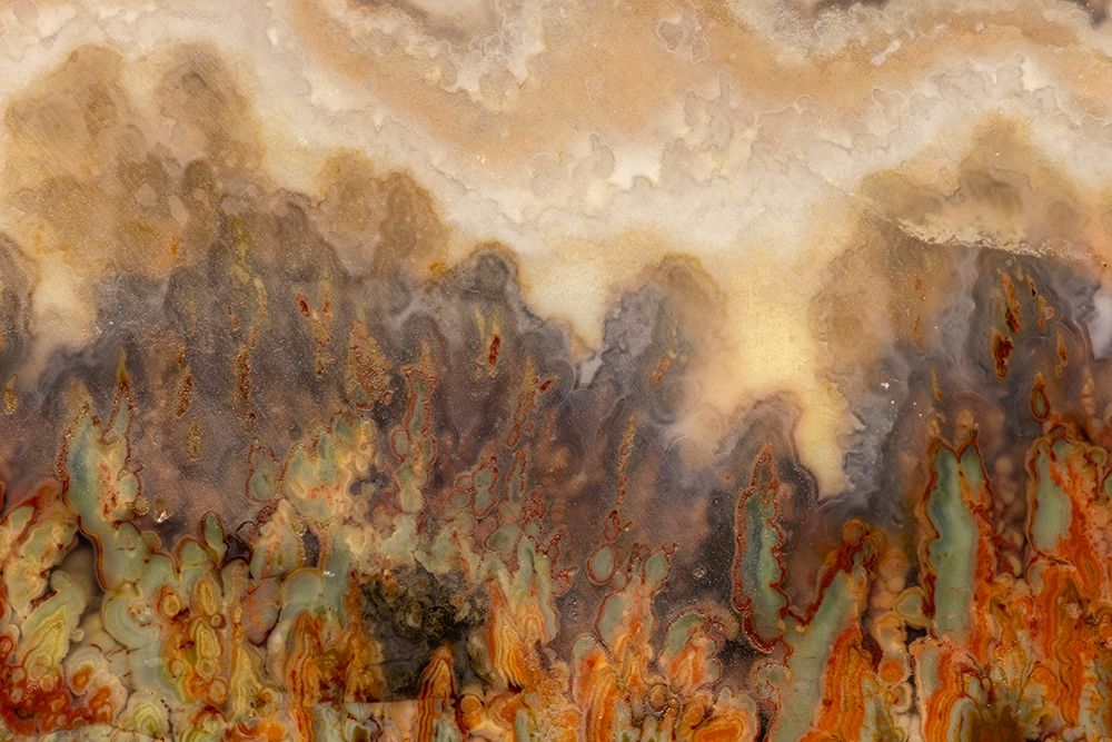 USA, Washington State, Sammamish. Prudent Man agate from Idaho art print by Hollice Looney for $57.95 CAD