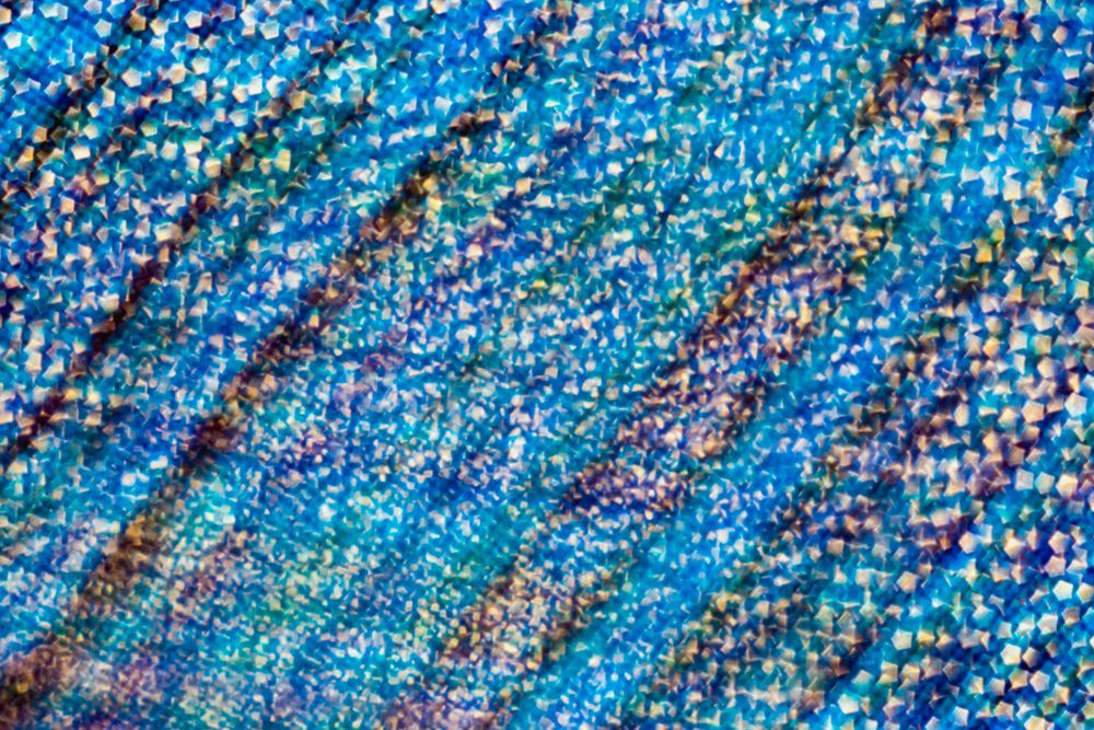 Colorful fabric detail art print by Zandria Muench for $57.95 CAD