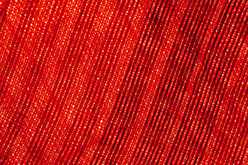 Colorful fabric detail art print by Zandria Muench for $57.95 CAD