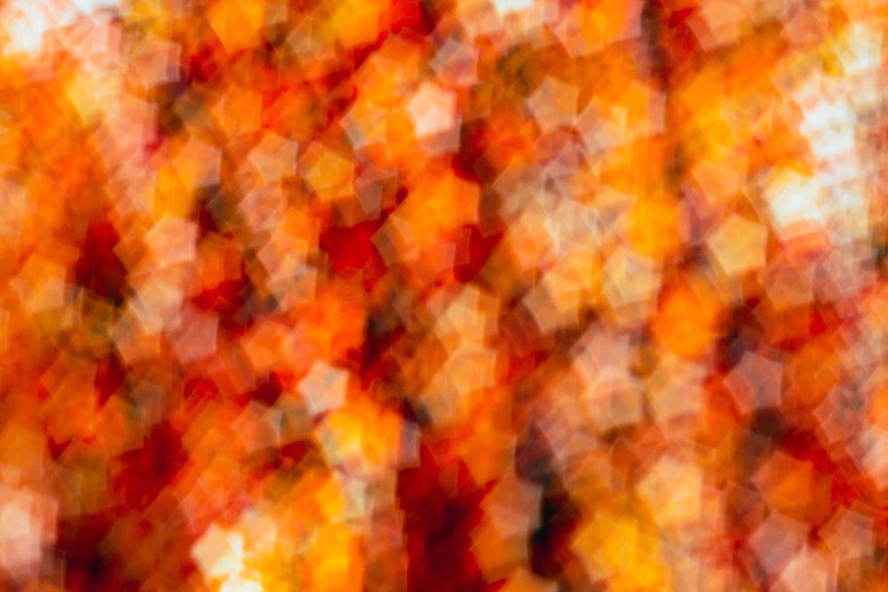 Colorful fabric detail art print by Zandria Muench for $57.95 CAD