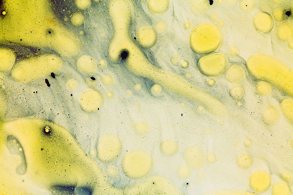 Paint-oil and water art print by Zandria Muench for $57.95 CAD