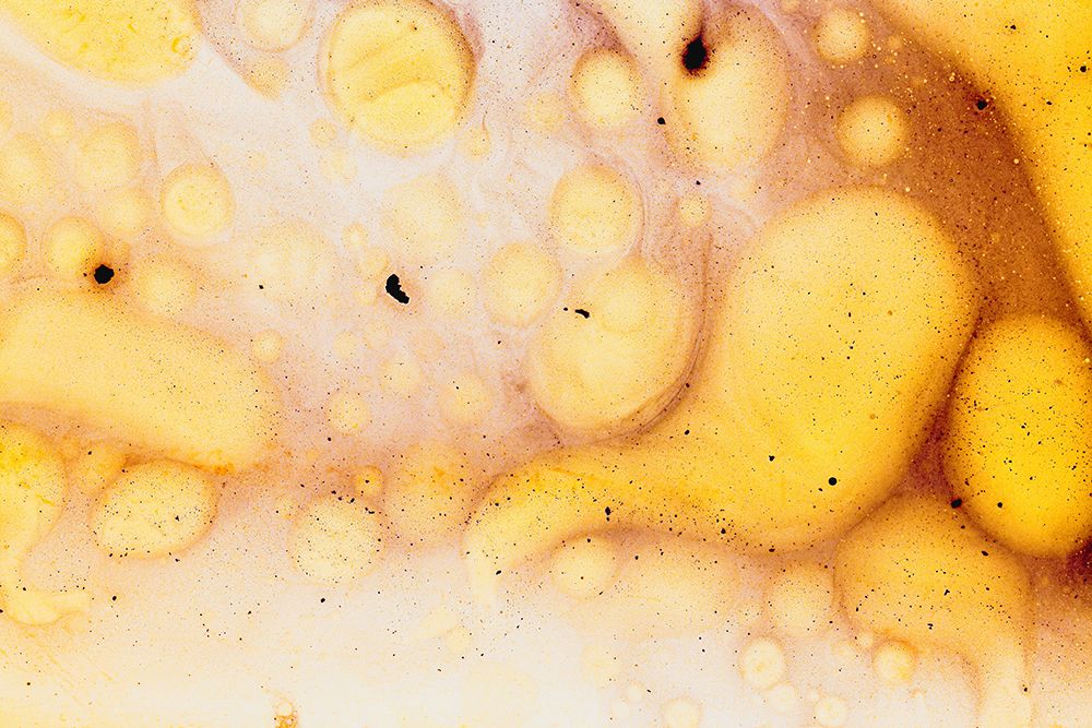 Paint-oil and water art print by Zandria Muench for $57.95 CAD