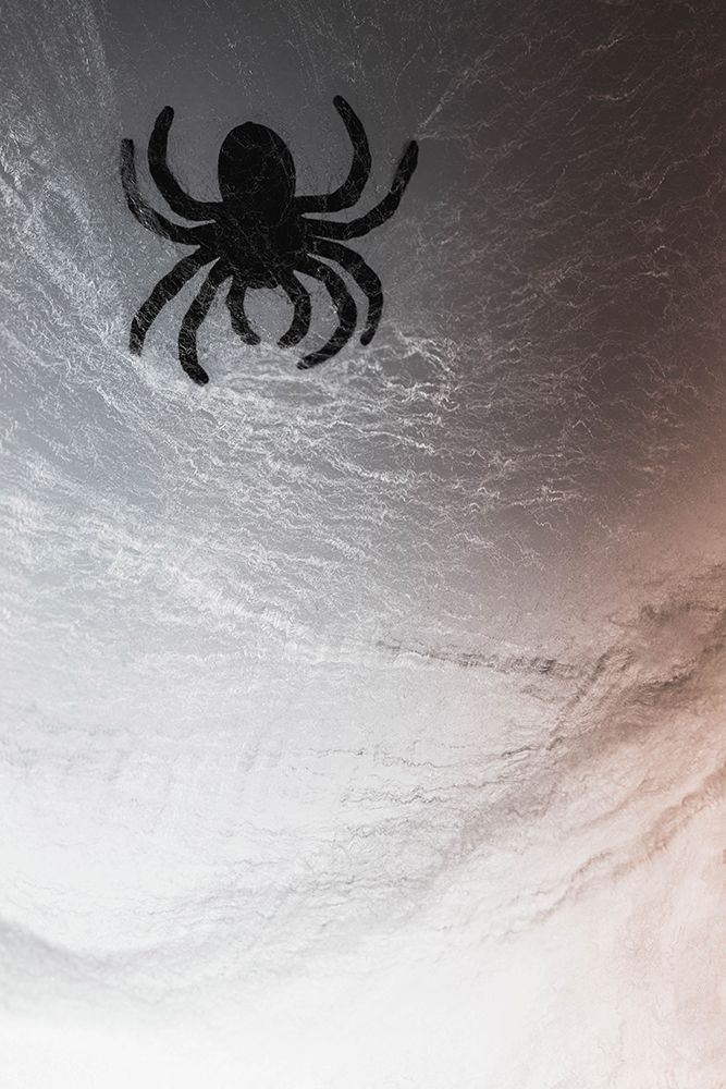 Spider on web art print by Zandria Muench for $57.95 CAD