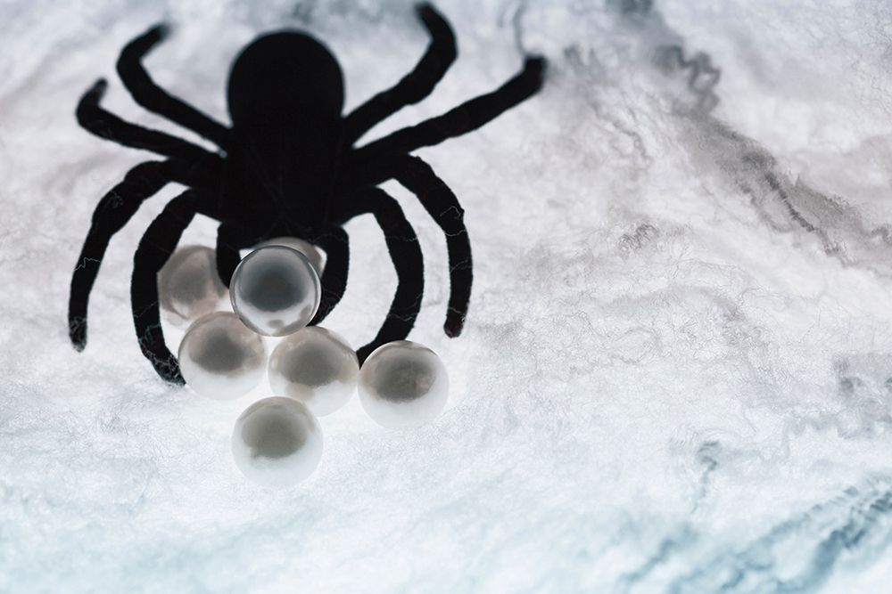 Spider on web art print by Zandria Muench for $57.95 CAD