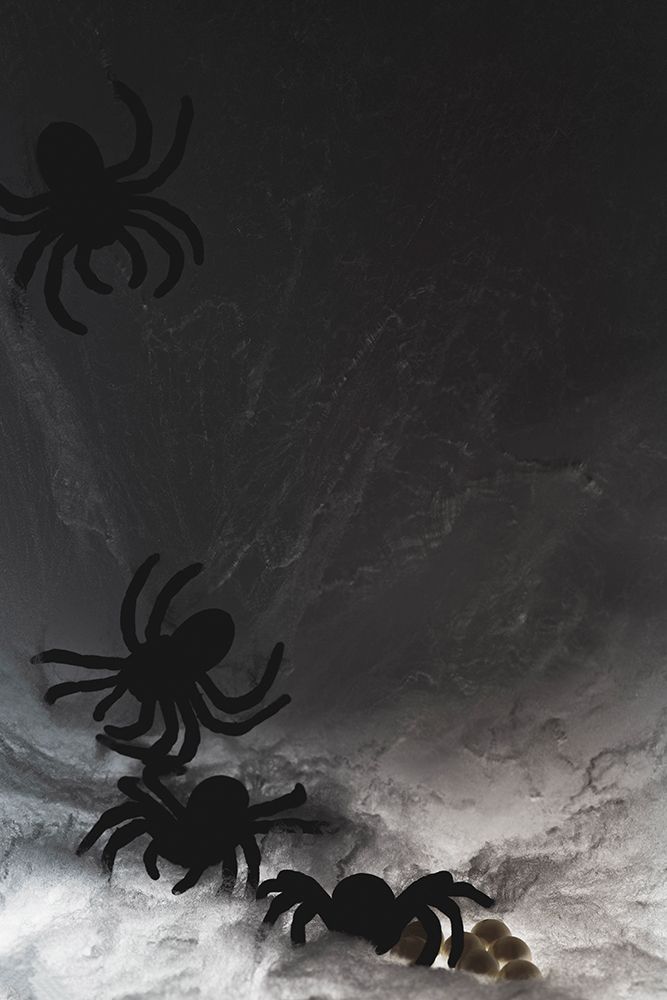 Spider on web art print by Zandria Muench for $57.95 CAD