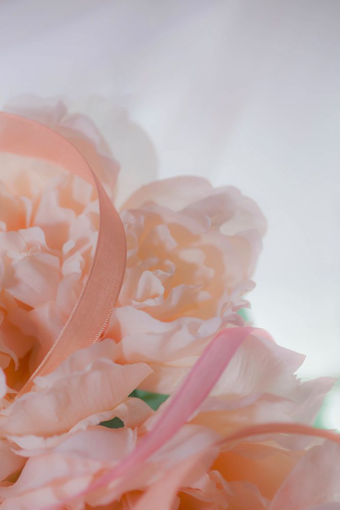 Flowers and light art print by Zandria Muench for $57.95 CAD