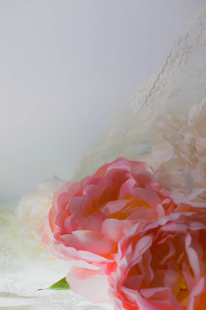 Flowers and light art print by Zandria Muench for $57.95 CAD