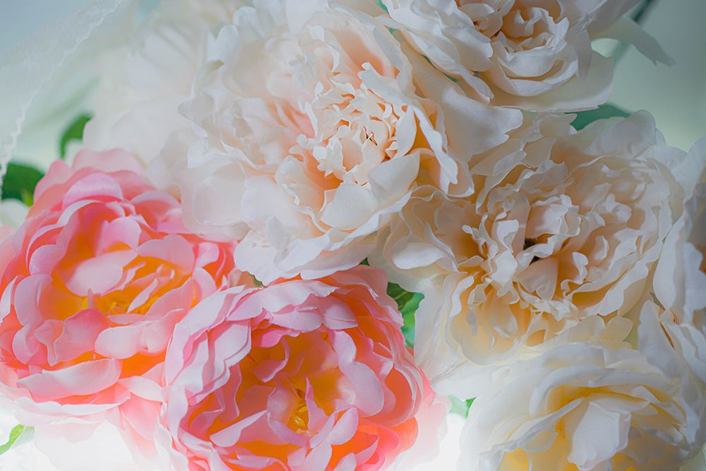 Flowers and light art print by Zandria Muench for $57.95 CAD