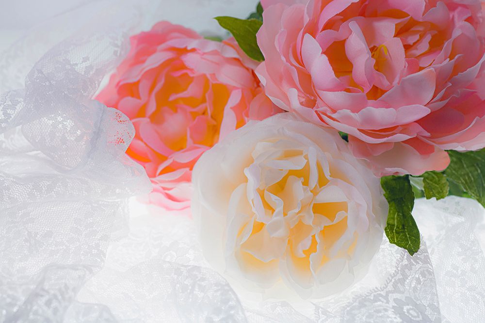 Flowers and light art print by Zandria Muench for $57.95 CAD