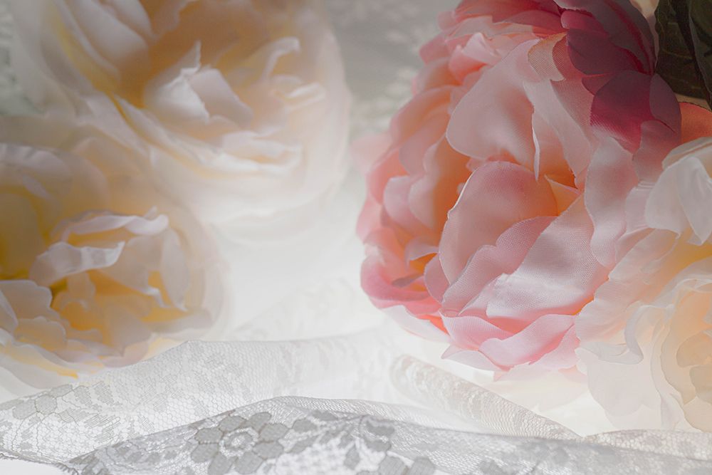 Flowers and light art print by Zandria Muench for $57.95 CAD