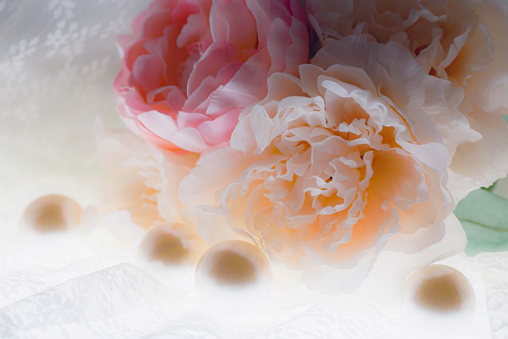 Flowers and light art print by Zandria Muench for $57.95 CAD