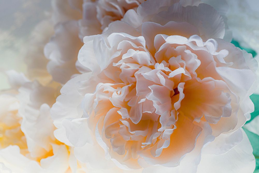 Flowers and light art print by Zandria Muench for $57.95 CAD