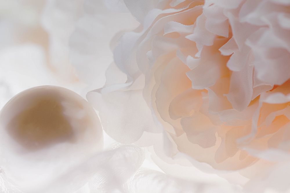 Flowers and light art print by Zandria Muench for $57.95 CAD