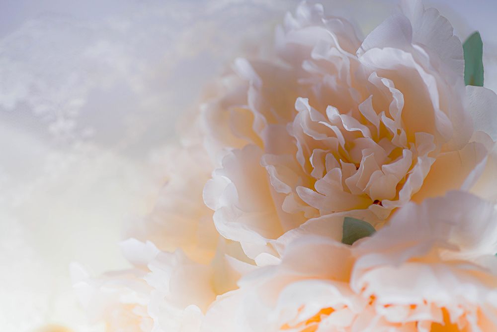 Flowers and light art print by Zandria Muench for $57.95 CAD