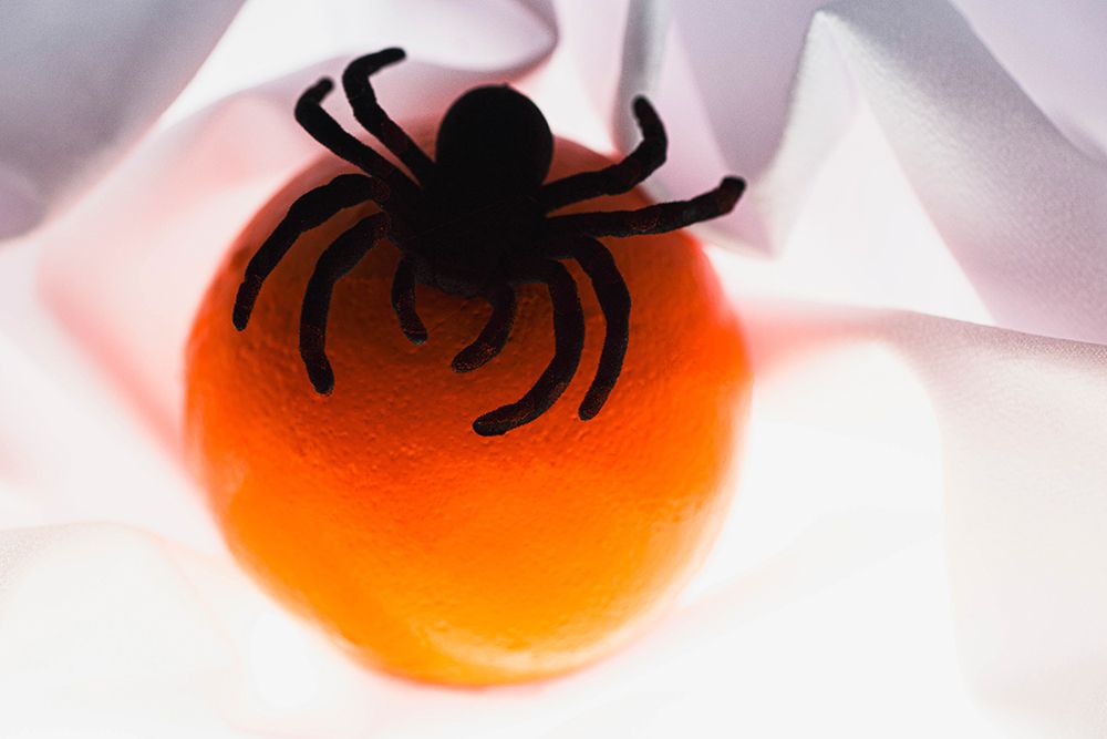 Spiders and light art print by Zandria Muench for $57.95 CAD