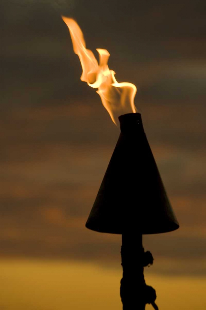 Fiji, Viti Levu, Lautoka Tiki torch at night art print by Wendy Kaveney for $57.95 CAD