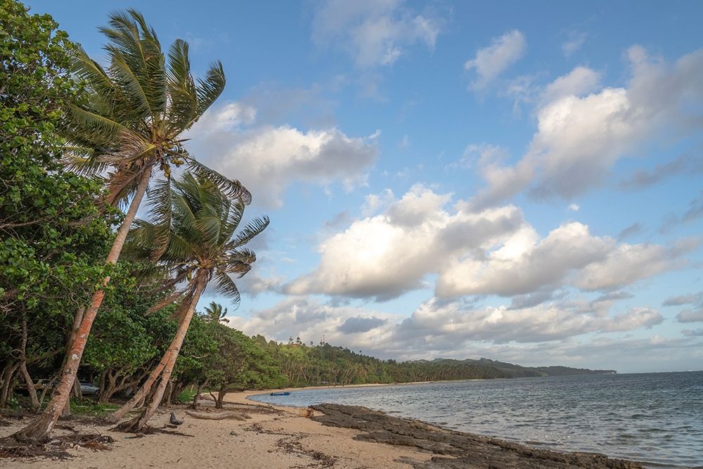 Fiji-Viti Levu Beach with palm trees and white clouds art print by Merrill Images for $57.95 CAD