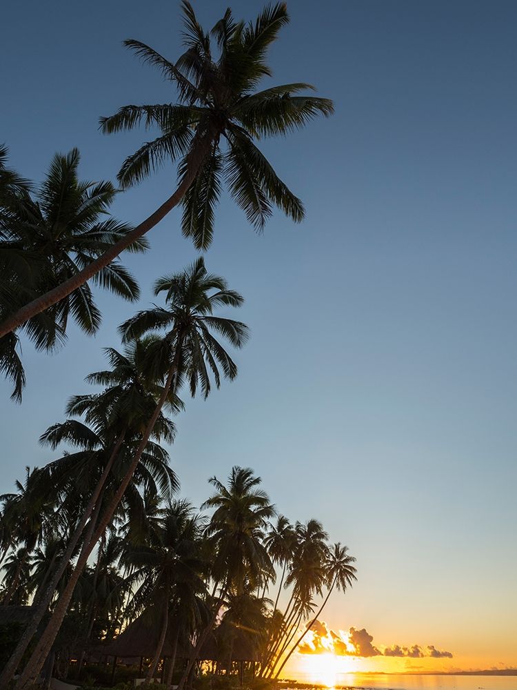 Fiji-Vanua Levu Beach sunset with palm trees art print by Merrill Images for $57.95 CAD