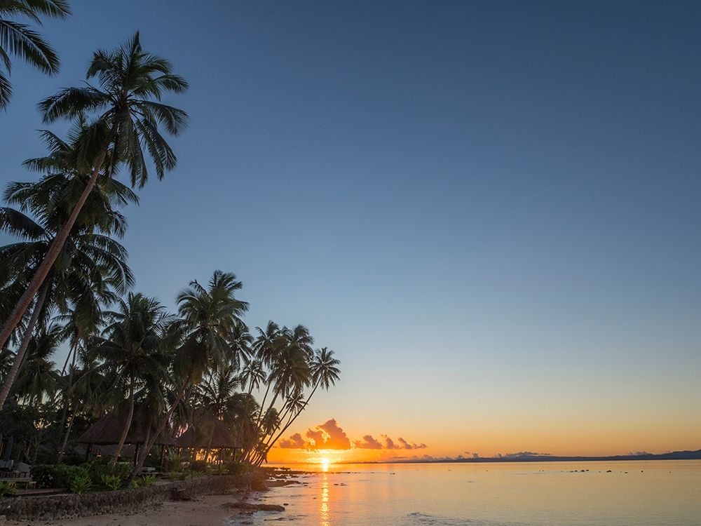 Fiji-Vanua Levu Beach sunset with palm trees art print by Merrill Images for $57.95 CAD