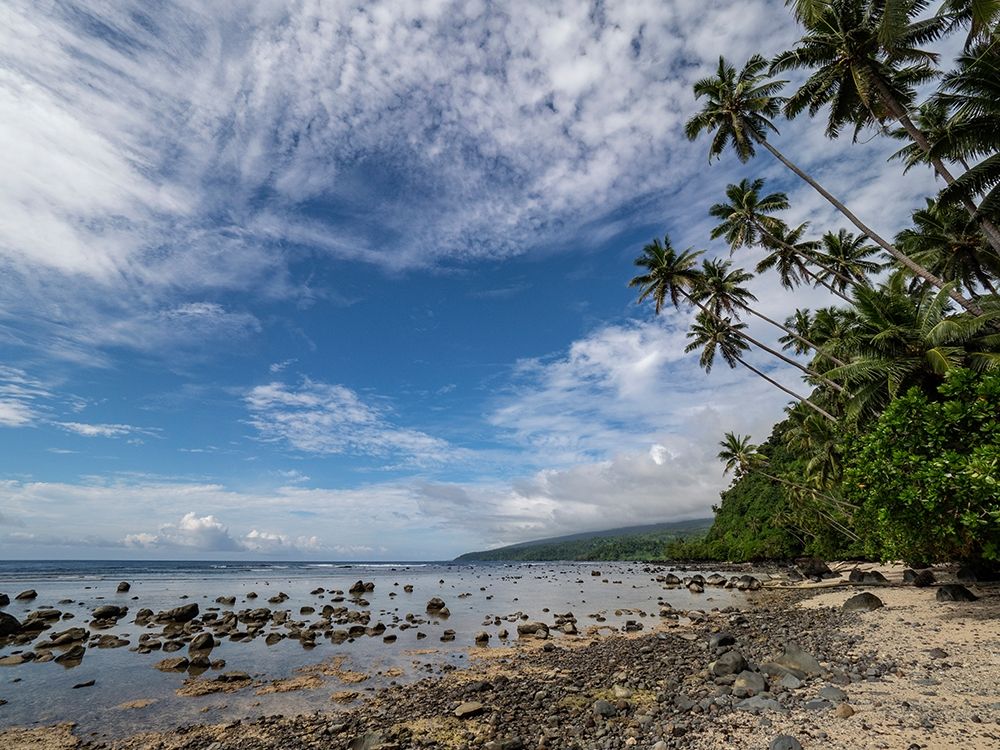 Fiji-Taveuni Island Beach with palm trees and white clouds art print by Merrill Images for $57.95 CAD