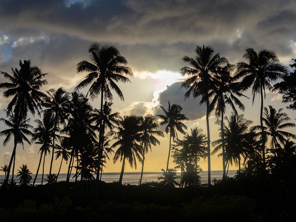 Fiji-Taveuni Island Beach sunset with palm trees art print by Merrill Images for $57.95 CAD