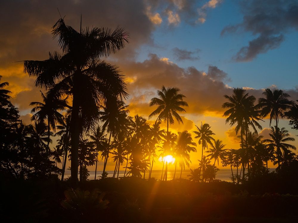 Fiji-Taveuni Island Beach sunset with palm trees art print by Merrill Images for $57.95 CAD