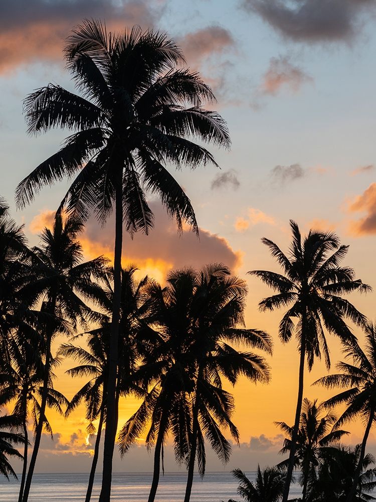 Fiji-Taveuni Island Beach sunset with palm trees art print by Merrill Images for $57.95 CAD