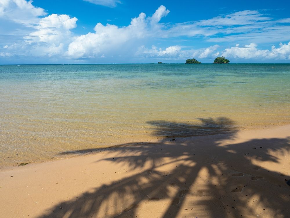 Fiji-Taveuni Island Silhouette of a palm tree on sandy beach with blue sky art print by Merrill Images for $57.95 CAD