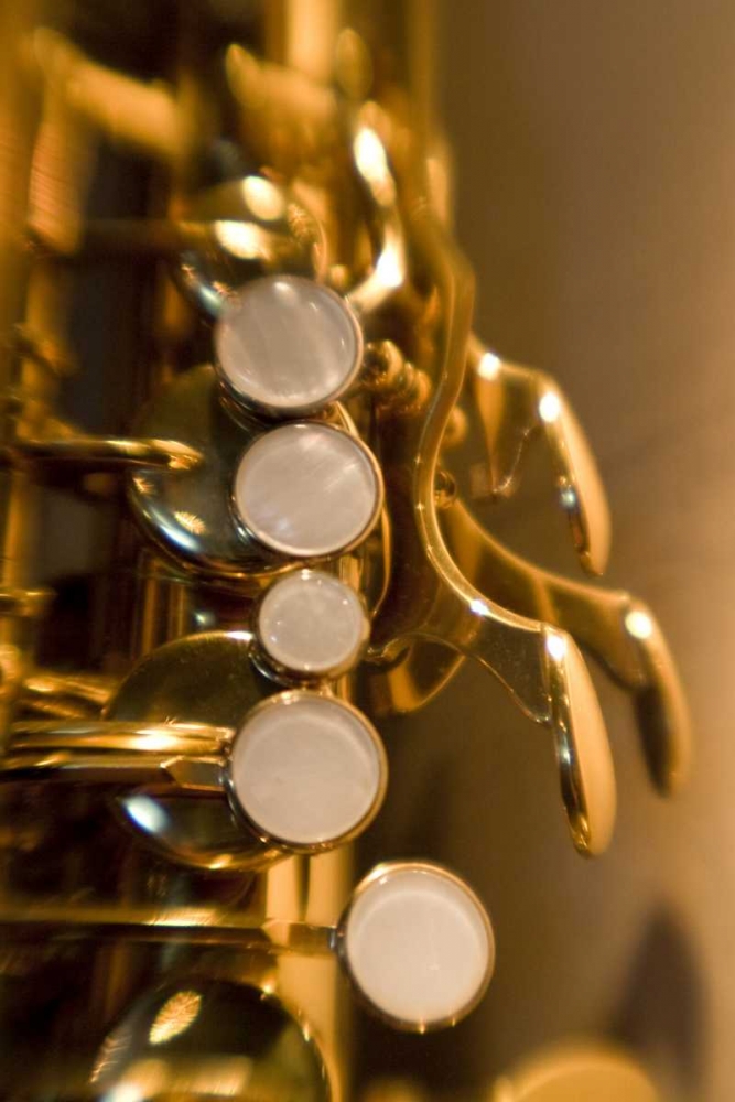 French Polynesia Saxophone used in band art print by Wendy Kaveney for $57.95 CAD
